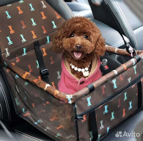 Карманные мальтипу