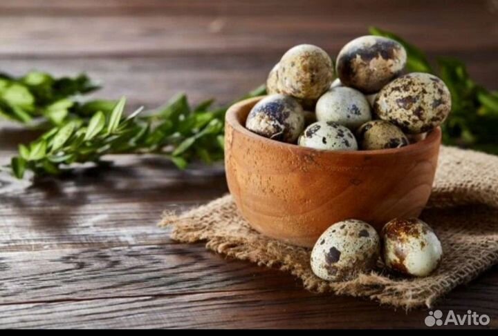 Яйца перепелиные домашние