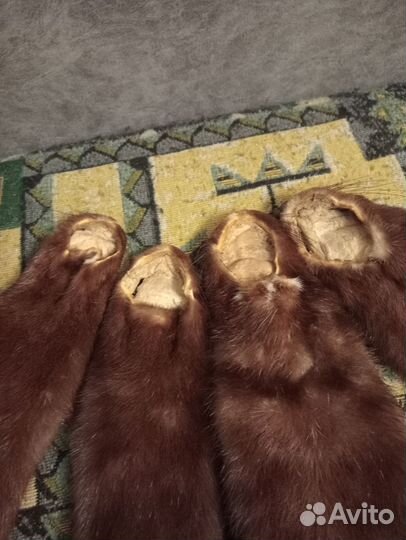 Шкурки норки