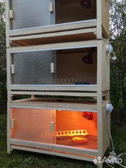 Брудер для цыплят