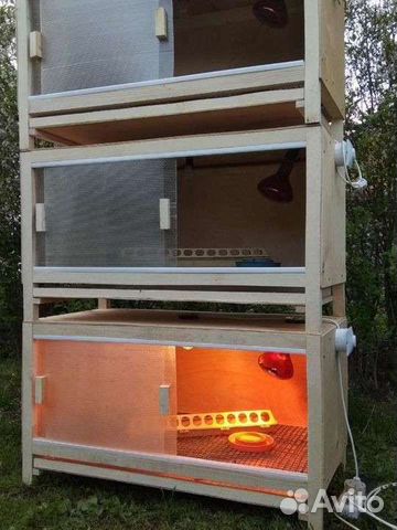 Брудер для цыплят