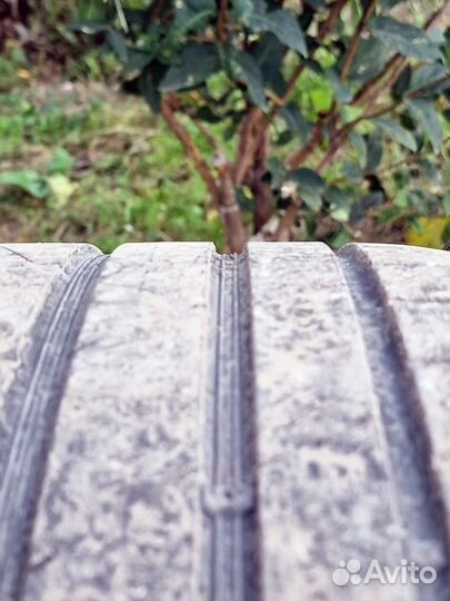 Hankook Ventus S1 Evo2 SUV K117A 245/40 R18 93Y