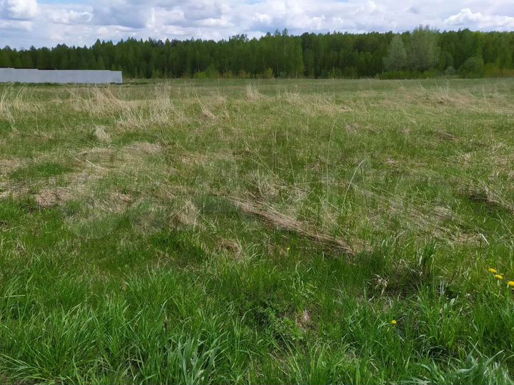 Участок 29 сот. (ИЖС)