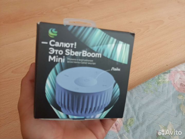 Sber boom mini