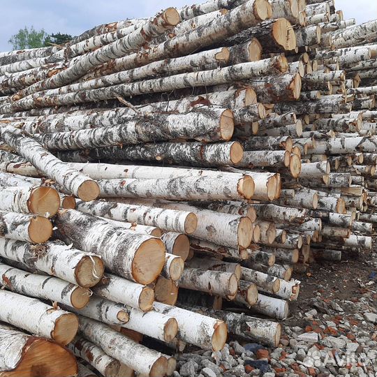 Сухие дрова