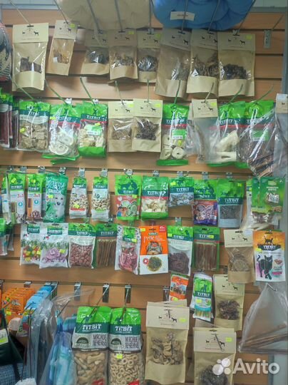 Одежда для собак и кошек