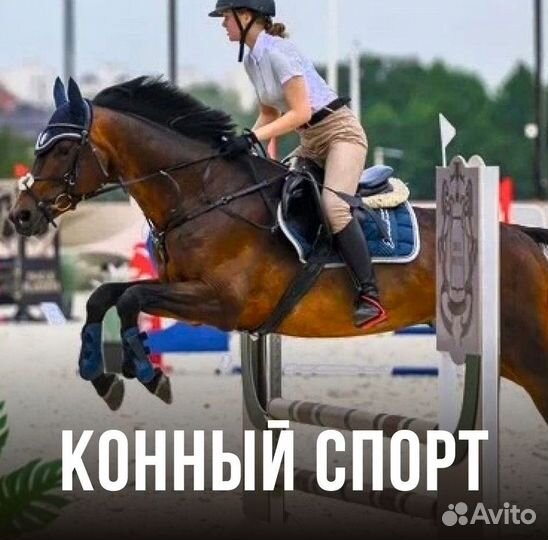 Обучение с нуля, конкур