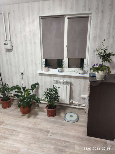 Дом 74 м² на участке 12 сот.