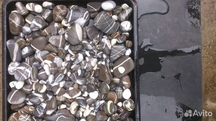 Камни для аквариума террариума от 1кг. декораций