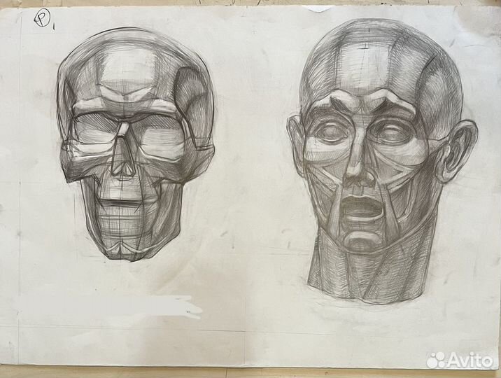 Академический рисунок и живопись