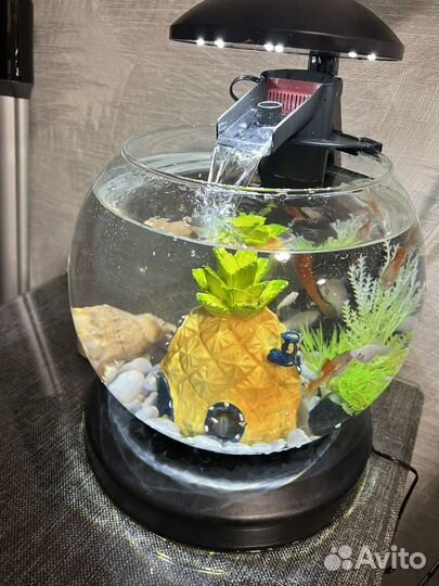 Аквариум для рыб Cascade Globe 6.8 л