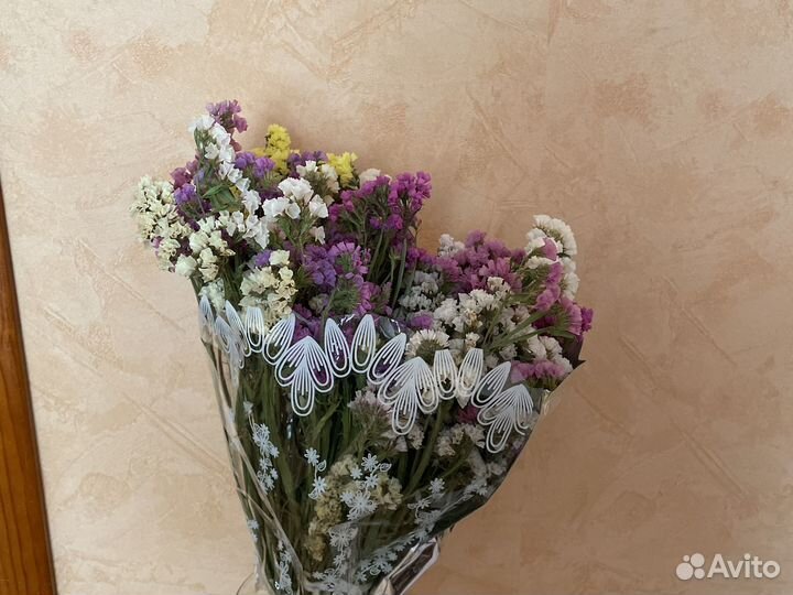 Сухоцветы статица