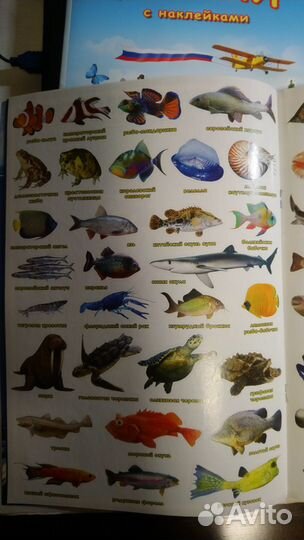 Атлас мира с наклейками