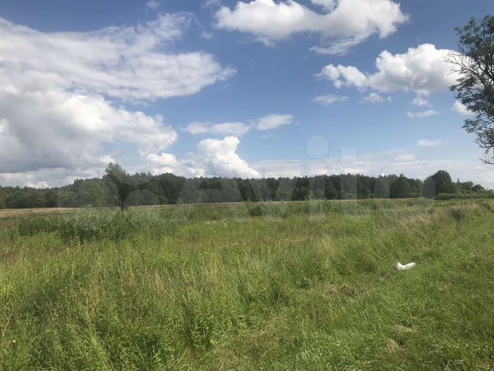 Участок 9,14 га (ИЖС)