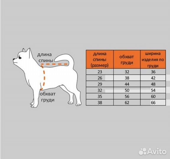 Комбинезон, дождевик