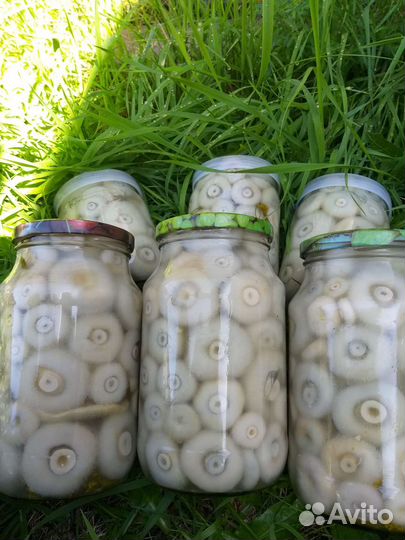 Грузди Рыжики солёные