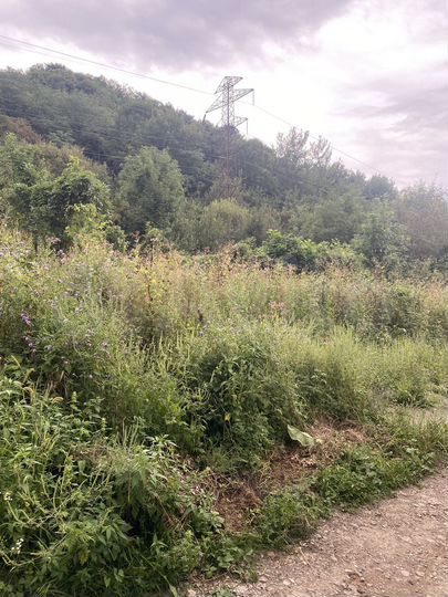 Участок 6 сот. (ИЖС)