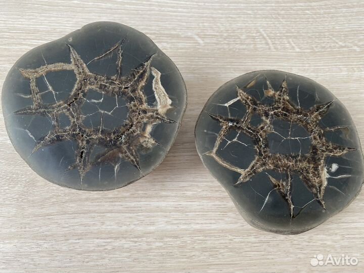 Септария камень минерал коллекция