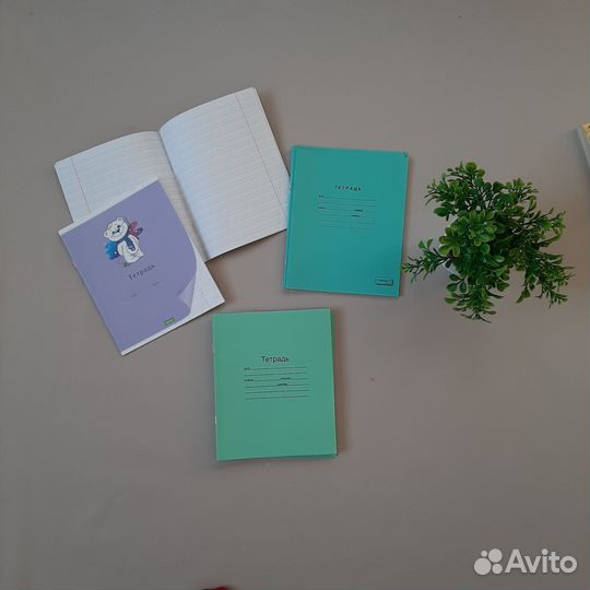 Тетради в косую линию 13 штук