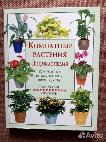 Комнатные растения