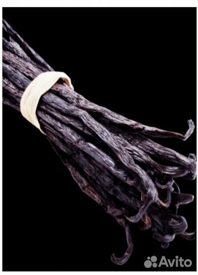 Yodeyma sophisticate Вода парфюмерная 50 мл