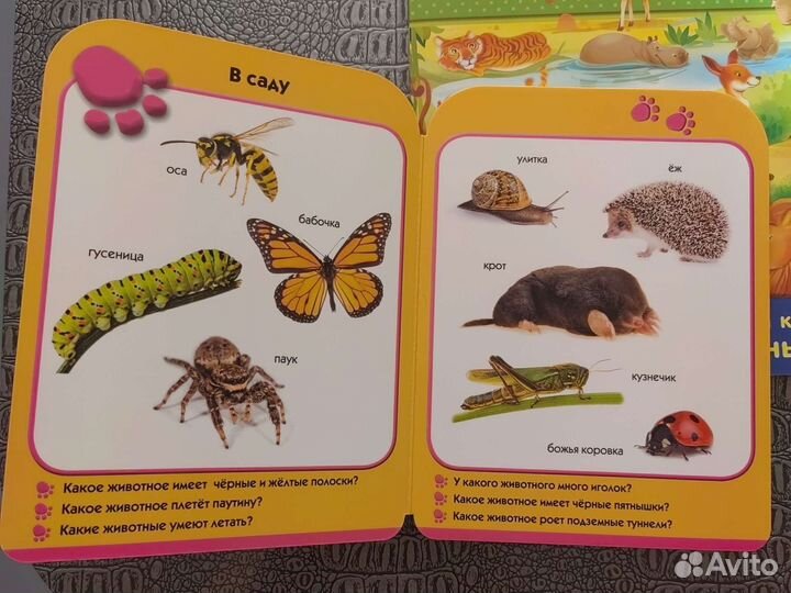 Книги с картинками про животных для малышей
