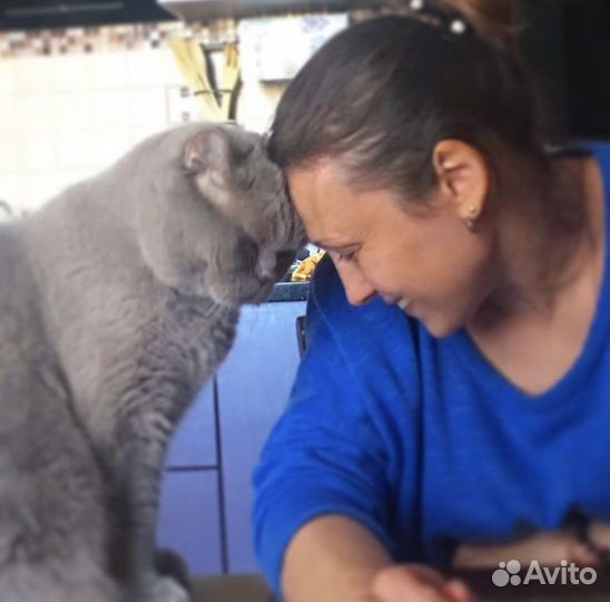 Зооняня/ котоняня/догсистер/зоокурорт Люкс