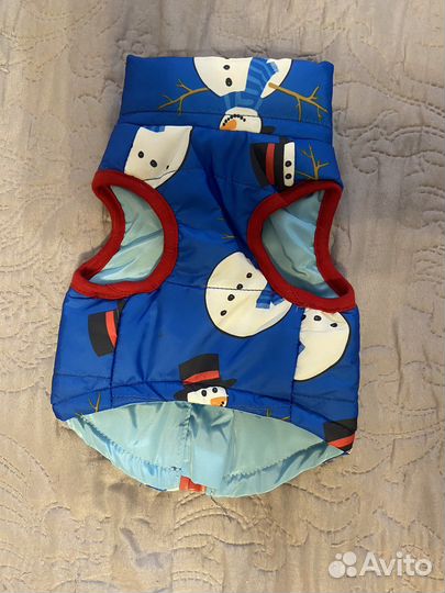 Одежда для собак