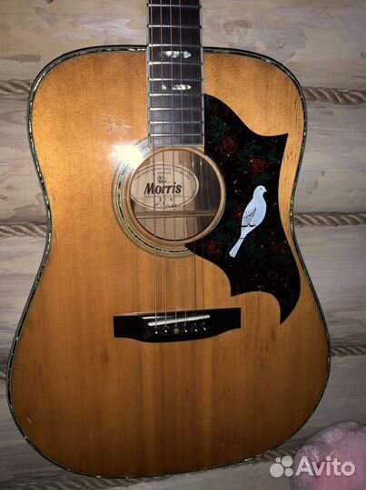 Аккустическая гитара morris W 40 japan