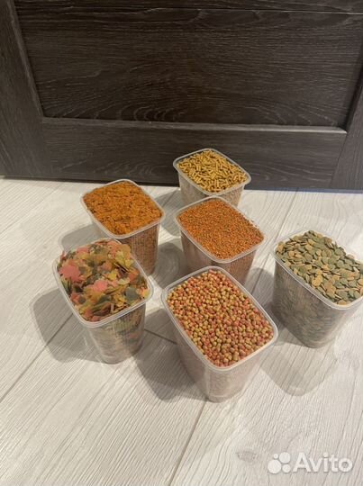 Корм для рыб Тетра. Бесплатная доставка