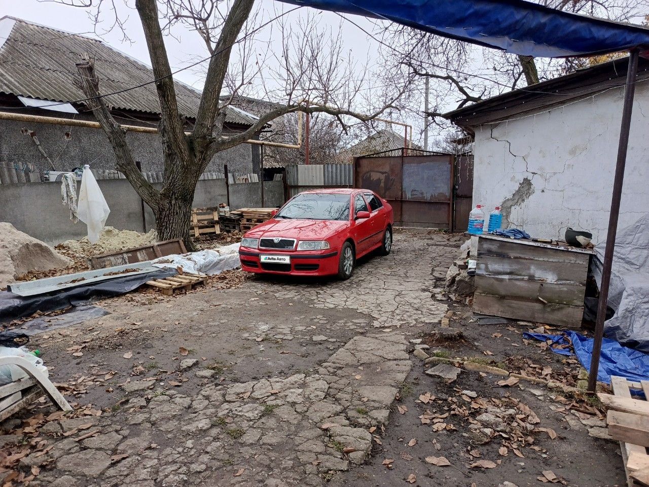 Skoda Octavia: фото из отзыва