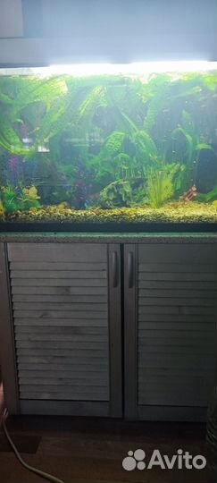 Аквариум с тумбой