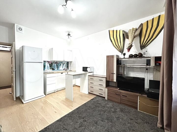 Квартира-студия, 24,6 м², 3/17 эт.