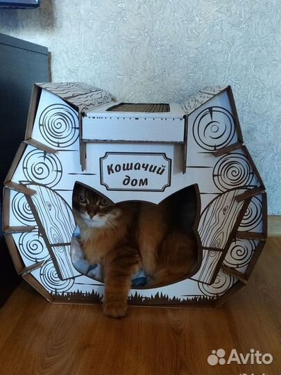 Домик для кошки