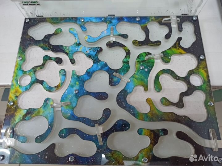 Комплект формикарий (муравьиная ферма)