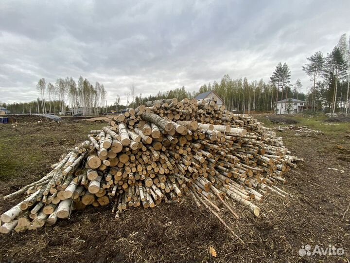 Дрова березовые не колотые