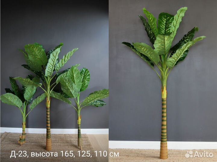 Искусственные деревья, Диффенбахия комплект