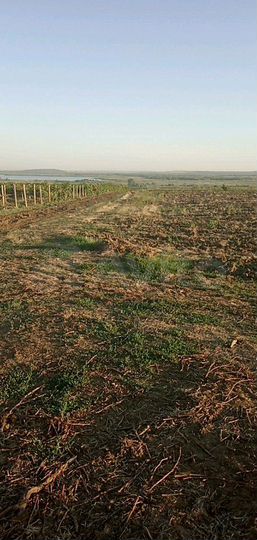 Участок 1,4 га (ИЖС)