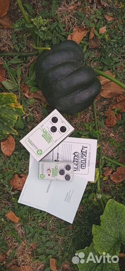 Electro-Harmonix (EHX) Lizard Queen