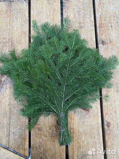 Пихтовые веники