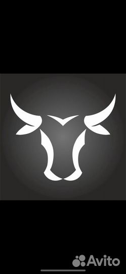 Мастер чистоты