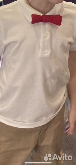 Бабочка Gulliver