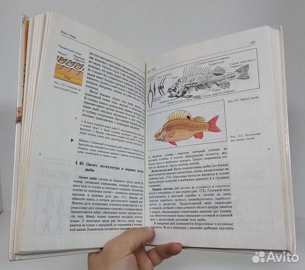 Никишов А. Биология. Животные. 7-8 кл. 2000 г