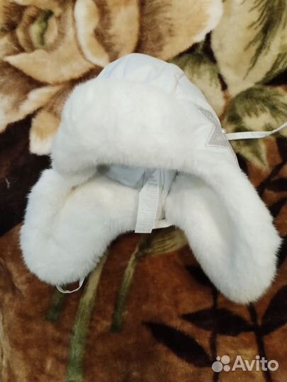 Отдам бесплатно