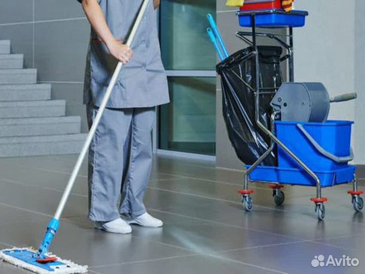 Уборщик в Зеленой Роще