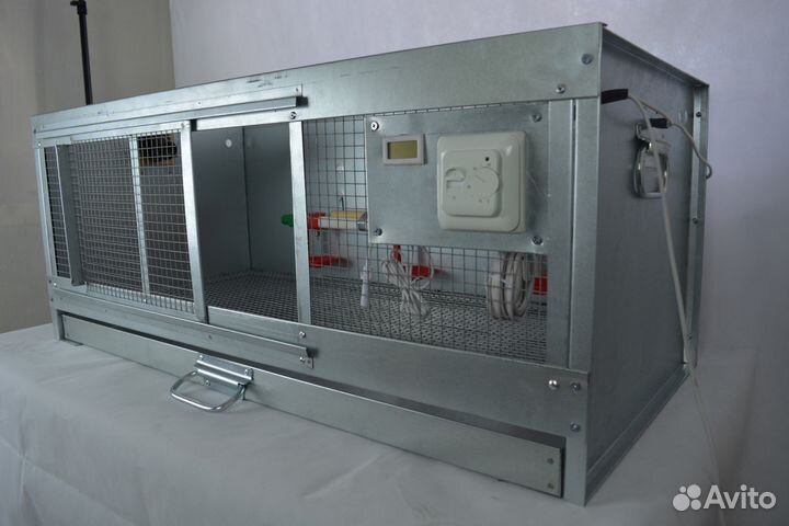 Брудер для цыплят профессионал оцинкованный