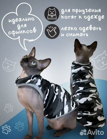 Одежда для кошки или собаки