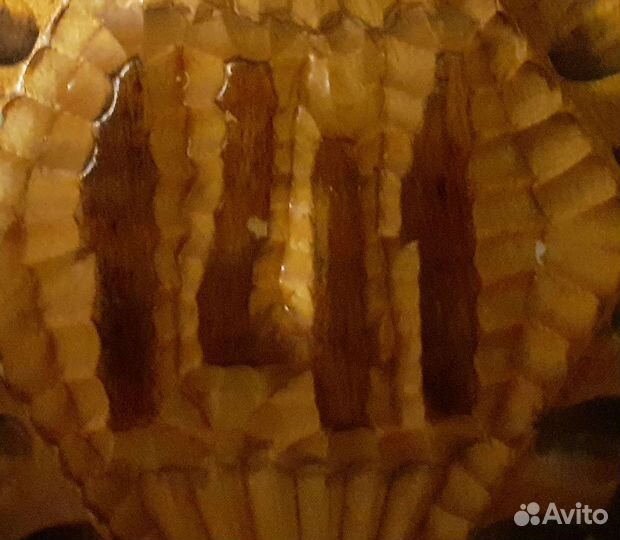 Номер от квартиры 141 и ручки дверные СССР