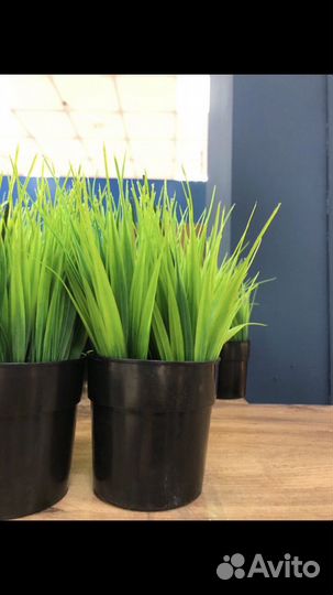 Искусственные растения