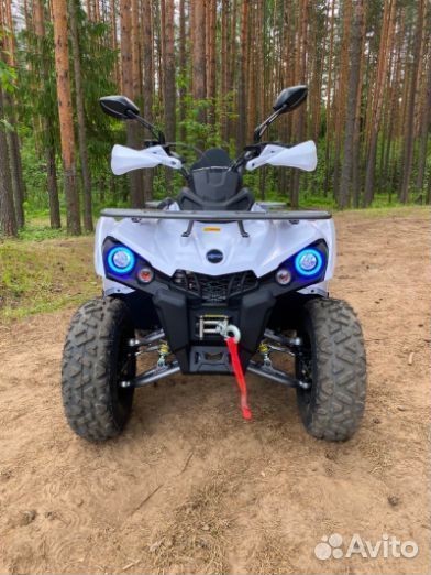 Квадроцикл motax ATV Grizlik 200 Ultra